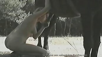 bestialnost porno videi,zoo seks porno video