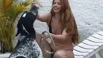 video porno de sexo en el zoo,video de sexo de perro