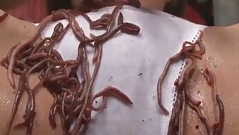 animais transando com pessoas,pornografia de zoológico extremo