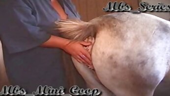 videos de sexo con caballos,animal folla a chica