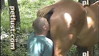 stute fickt,mensch fickt mit tier