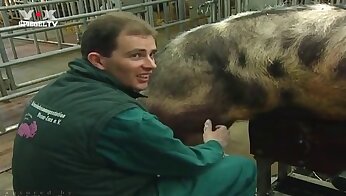 animals fucking with people,free zoo porn video
