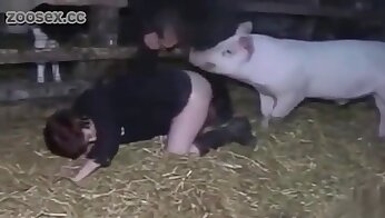 clips with zoo porn,animal porn