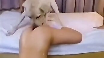 sexvergnügen,oraler tierporno
