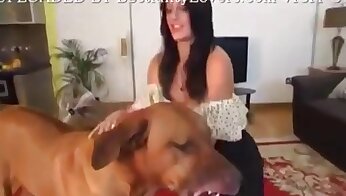 vidéo de sexe avec un chien,vidéos porno de bestialité