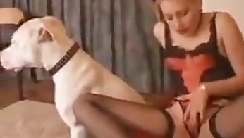 dog sex video,animal porn