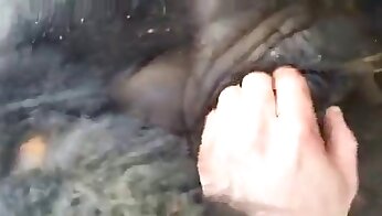 vidéo porno sexe zoo,sexe avec un animal