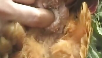 filmy porno ze zwierzętami,porno ze zwierzętami