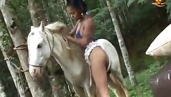 człowiek ruchający się ze zwierzęciem,gorące zooseks porno