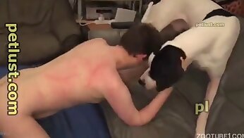 vídeos pornográficos de bestialidade,pornografia animal