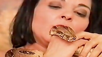 films de sexe avec des animaux,porno animalier