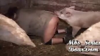 video khiêu dâm thú tính,video khiêu dâm với động vật và quái vật