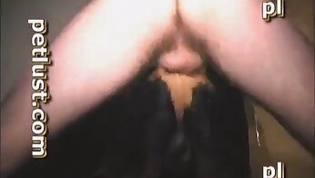 free zoo porn video,bestiality porn videos
