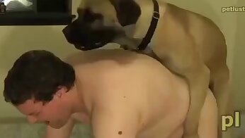 koira seksivideo,mies ja eläin seksi