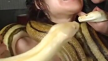 beštiální porno videa,asijské zoo porno
