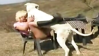 sexo com animal,pornografia canina grátis