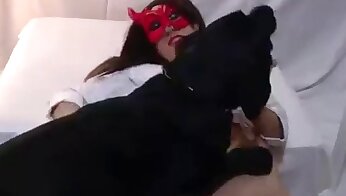 วิดีโอโป๊สวนสัตว์ฟรี,วิดีโอโป๊เกี่ยวกับสัตว์