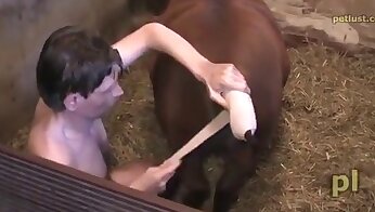 man and animal sex,zoo porn videos