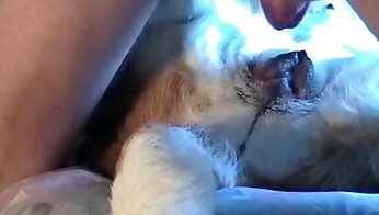 sex with animal,zoo sex porn video