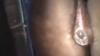 animal porn,horse sex videos