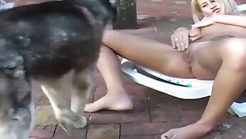 bestialiteit porno video's,seks met dier