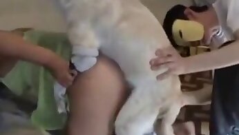 vídeos pornográficos de bestialidade,humano transando com animal