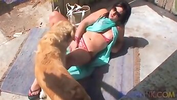 amateur-zoo-porno,hunde-sexvideo