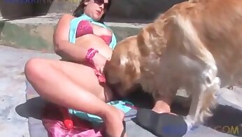 amateur zoo porn,dog sex video