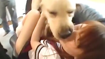 filmy o seksie ze zwierzętami,porno ze zwierzętami
