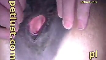 sex with animal,zoo sex porn video