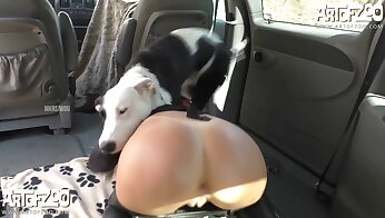 köpek seks videosu,hayvanlarla cinsel ilişki porno videoları