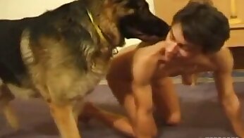 mierda de perrito,video de sexo de perro