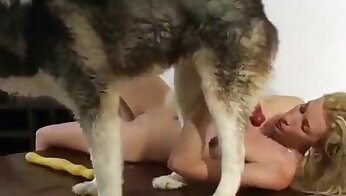 amatööri eläintarhapornoa,koira seksivideo