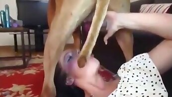 doggy faen,dyre- og kvinnesex