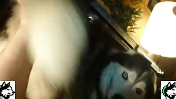 insan hayvanla sevişiyor,köpek seks videosu