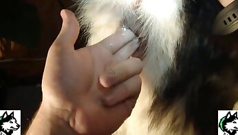 human fucking with animal,dog sex video