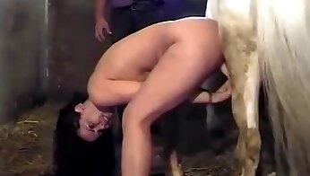 oripornoa,eläintarhan pornovideoita