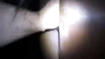 suullinen eläinporno,eläintarhan seksipornovideo