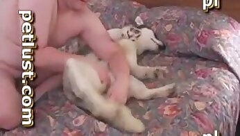 bestiality porn videos,dog sex video