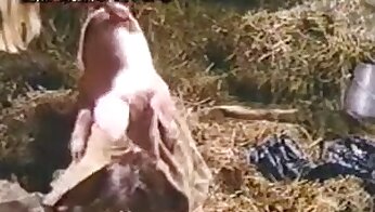 bezplatná bestiální porno videa,člověk kurva se zvířetem
