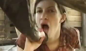 zoo-szex videó,ingyenes lovas pornó