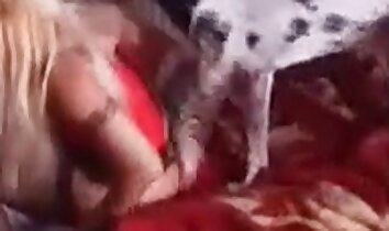 eläintarhaseksiä video,zoofiliaa porno video