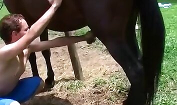 gay zoo porn,man and animal sex