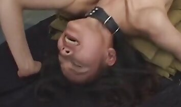 Hardcore-Tiersex,asiatischer Zoo-Porno