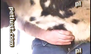 хардкорный секс с животными,порно с животными на открытом воздухе