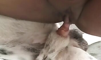 zoo-sexklipp,zoo-sexvideo