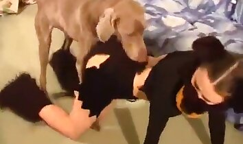 sexe en levrette,sexe intense