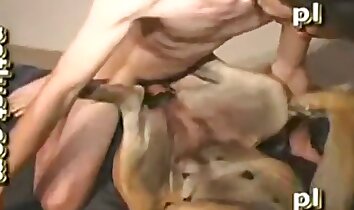 dick riding,wild zoophilia sex