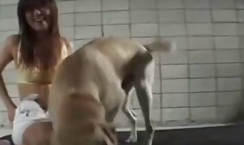 zoo-porno asiatico,fottuta bollente