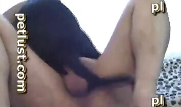 video sex ở sở thú,video khiêu dâm chó miễn phí